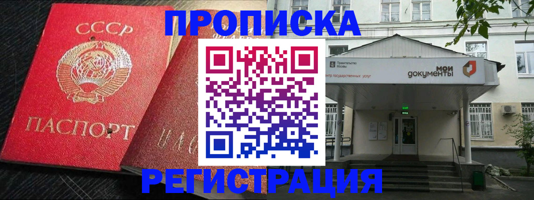 прописка в квартире в Лосино-Петровском